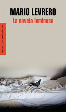 La novela luminosa